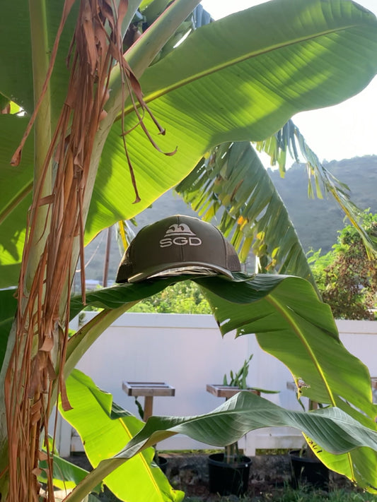 Swell SGD Trucker Hat worn outdoors in loden — Seas Get Degrees lifestyle