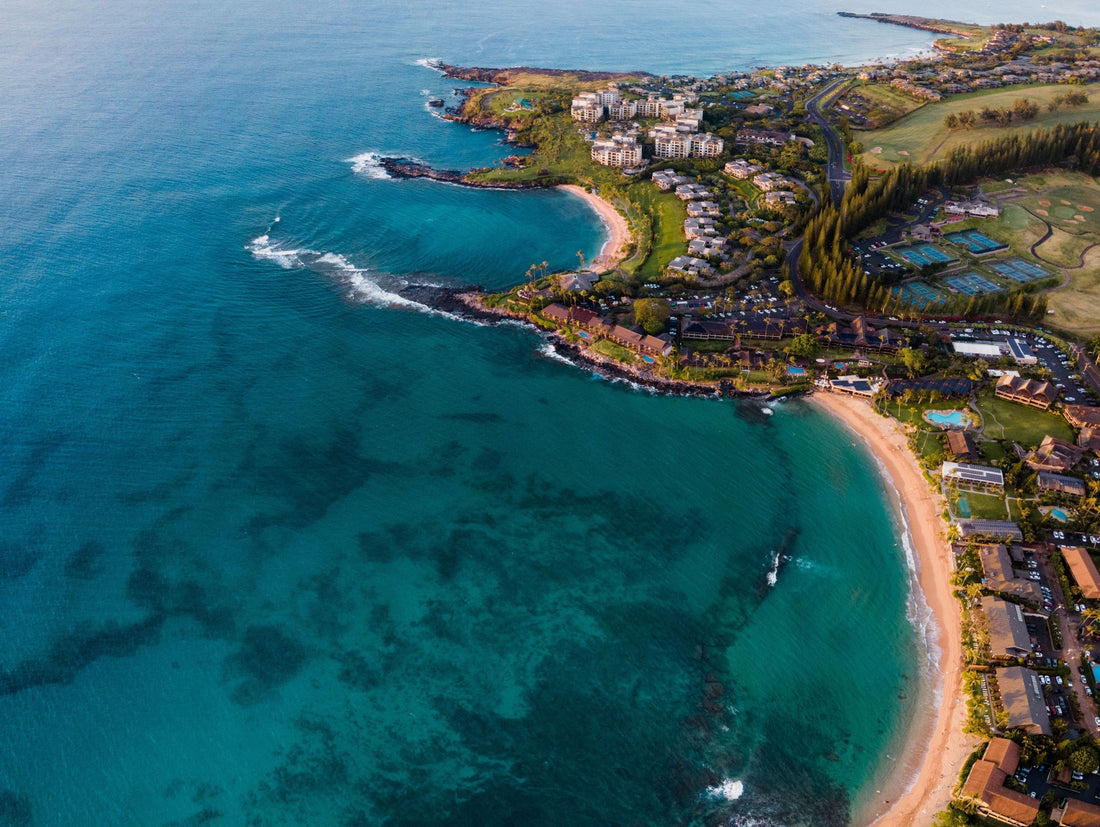 What Are the Best Beach Towns for College Students? 🌊🎓| Coastal College Guide
