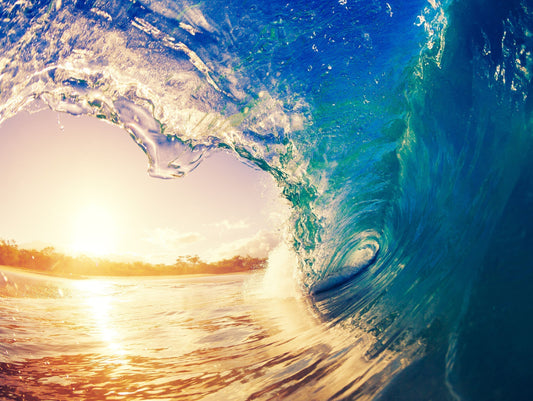 Best Colleges to Surf At: Top Universities for Students Who Love the Ocean 🌊| Coastal College Guide