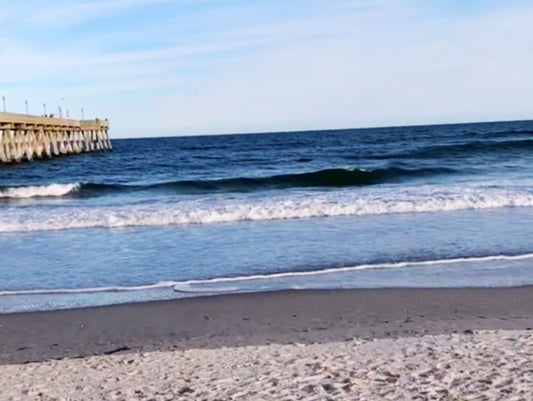 Best Surf Spots on the East Coast for Beginners 🌊 | Seas Get Degrees