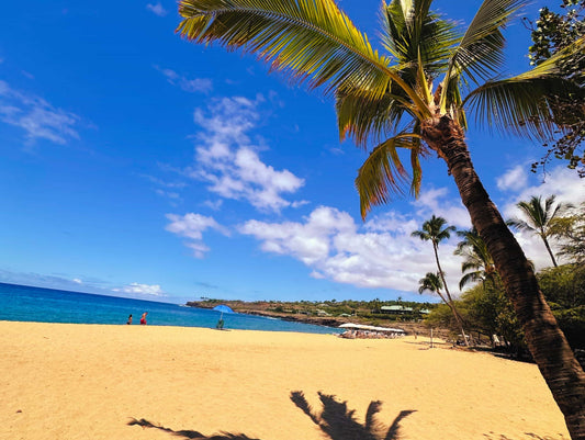 Beach day at Lanai Hawaii with ocean views and packed items for a great coastal day with Seas Get Degrees