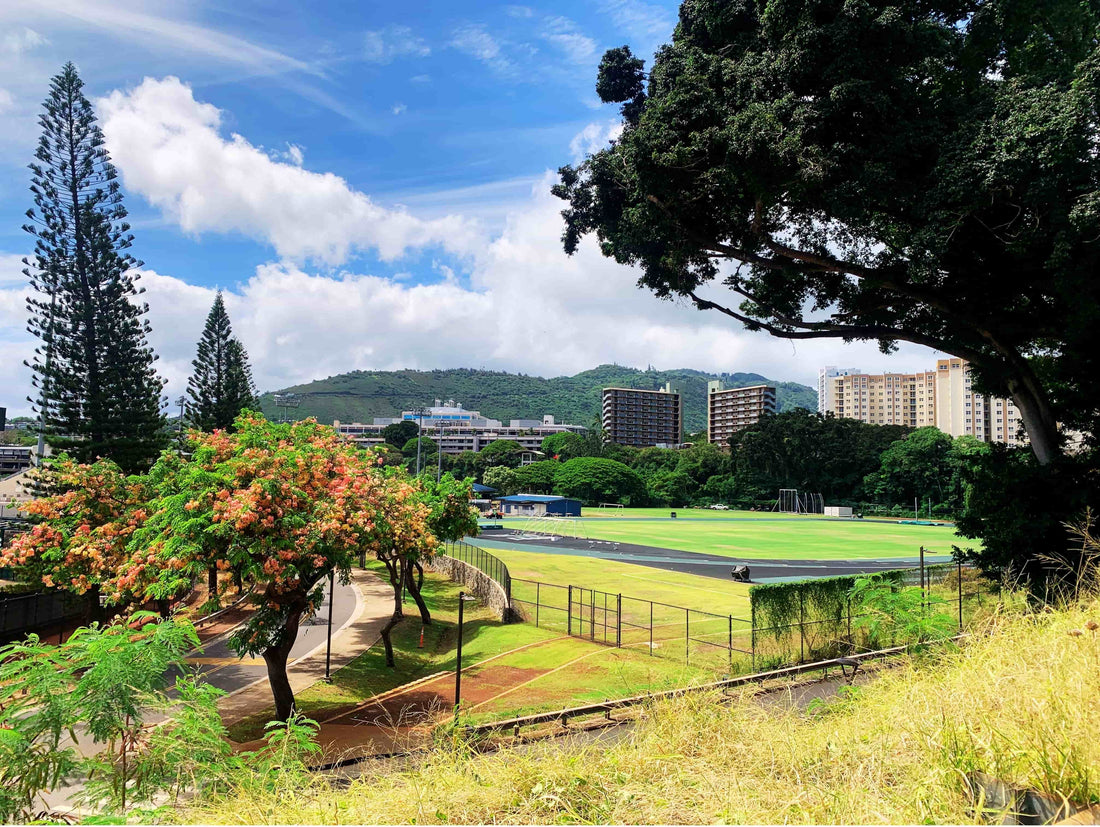 Best beach town for college students including University of Hawaii at Manoa with Seas Get Degrees