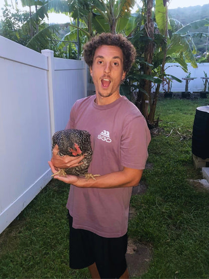 Model wearing Seas Get Degrees tee in kaffa coffee holding a chicken — Seas Get Degrees coastal lifestyle