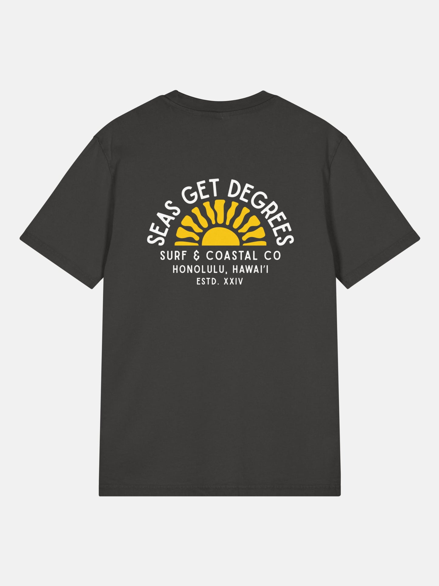 Golden Tide Tee back view in black rock — Seas Get Degrees coastal graphic tee