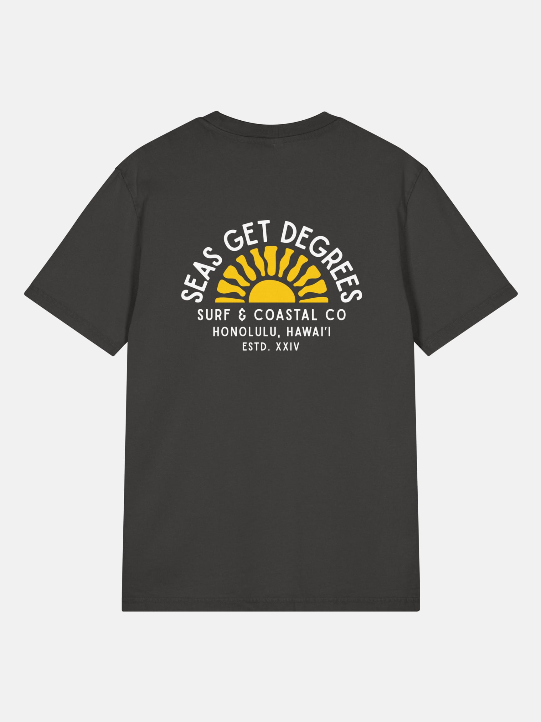 Golden Tide Tee back view in black rock — Seas Get Degrees coastal graphic tee