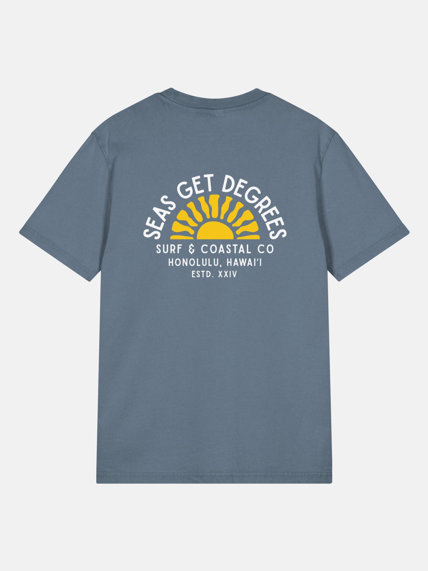 Golden Tide Tee back view in deep teal — Seas Get Degrees coastal graphic tee