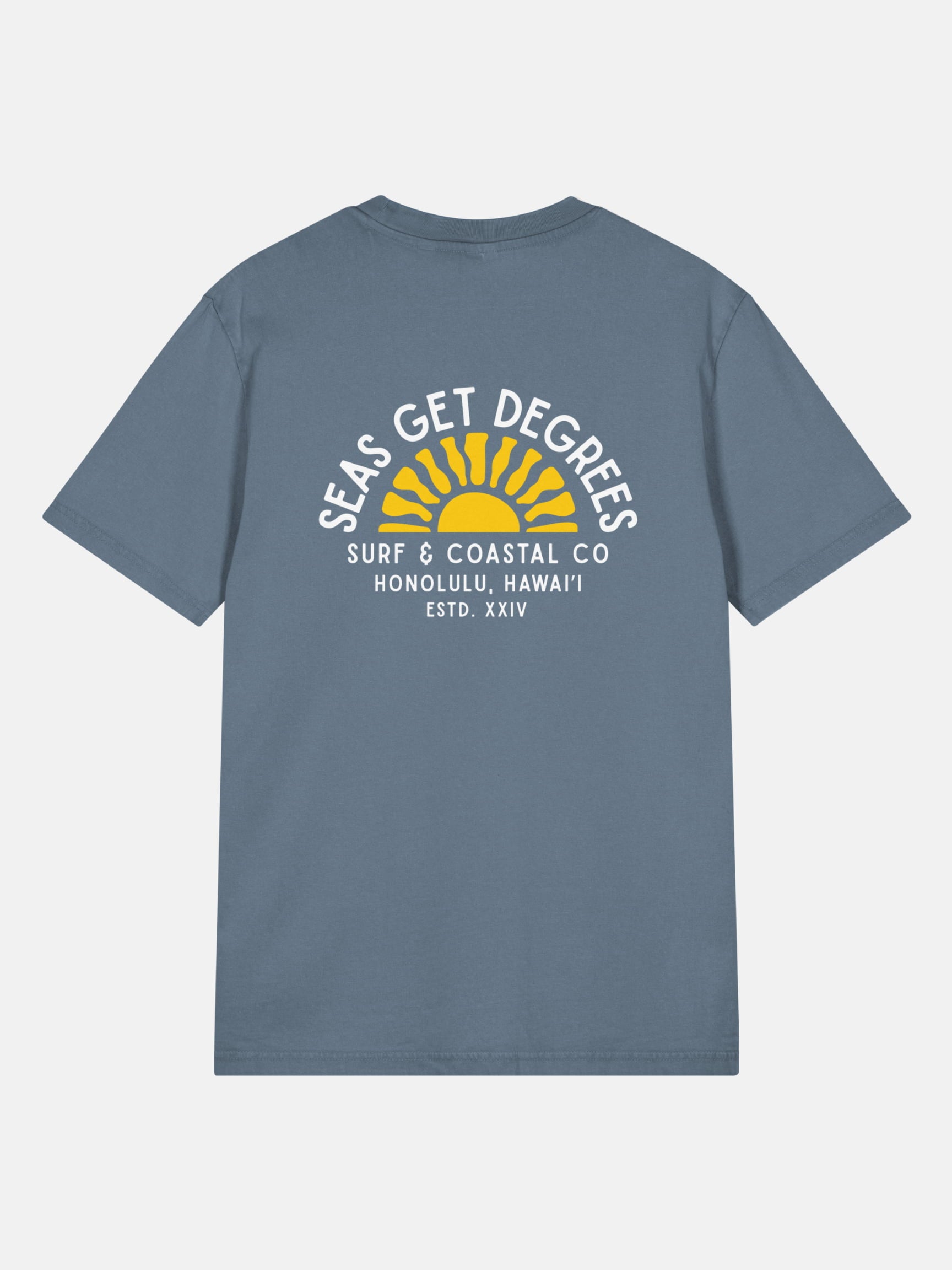 Golden Tide Tee back view in deep teal — Seas Get Degrees coastal graphic tee