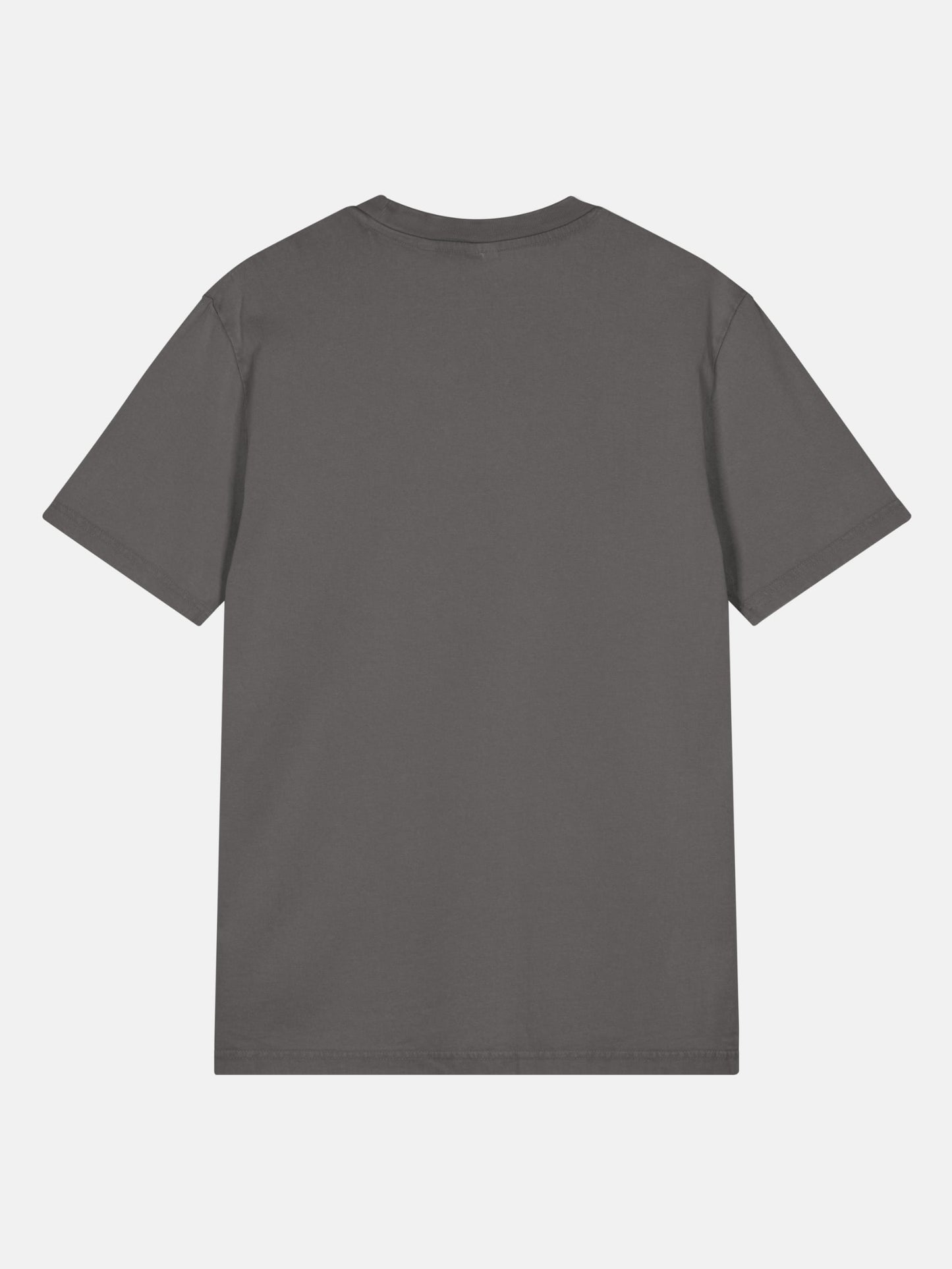 Seas Get Degrees Tee back view in anthracite — Seas Get Degrees