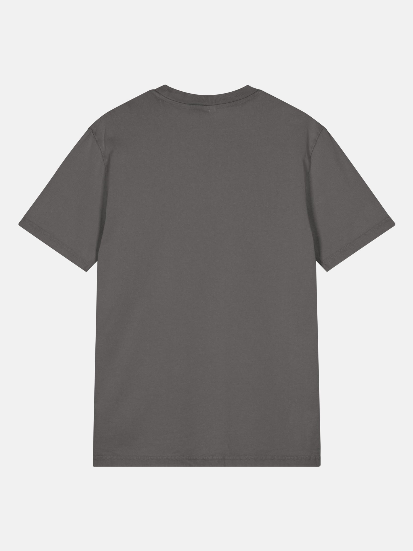 Seas Get Degrees Tee back view in anthracite — Seas Get Degrees
