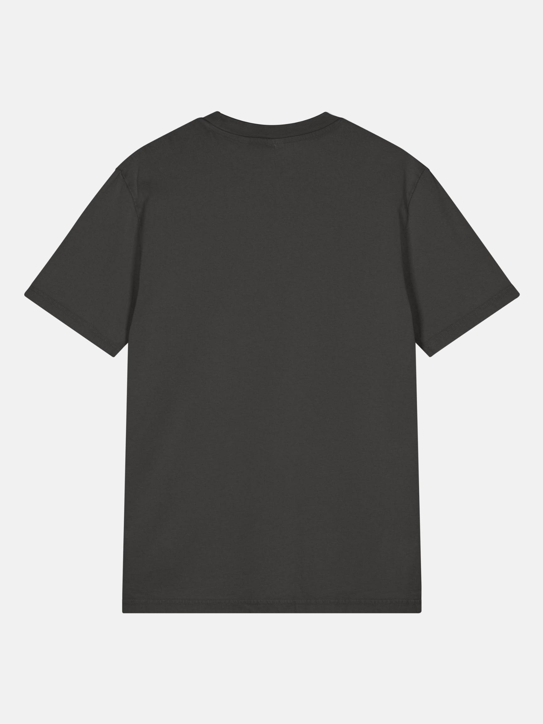 Seas Get Degrees Tee back view in black rock — Seas Get Degrees